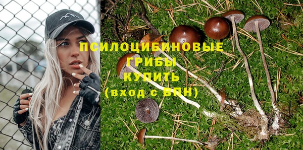 mix Абинск