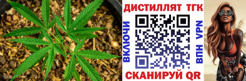 ТГК Wax  Данилов 