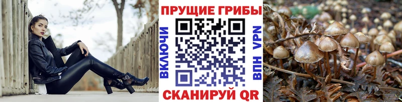 даркнет сайт  Данилов  Галлюциногенные грибы мухоморы 